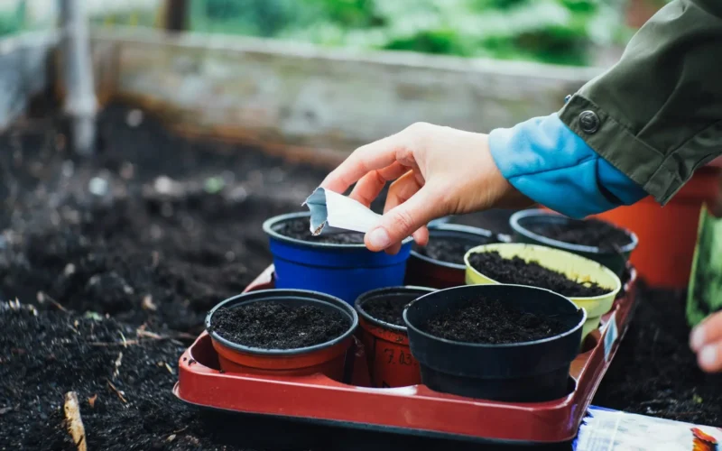 Gardening Basics