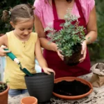 Gardening for Beginners