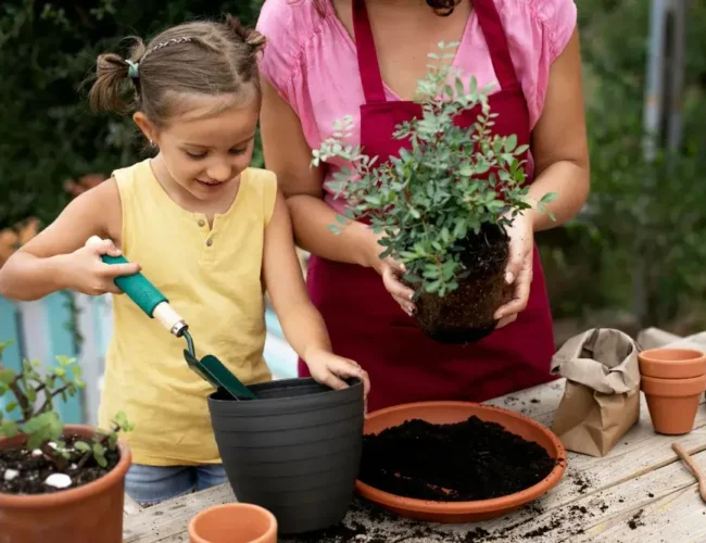 Organic Gardening for Beginners: Step-by-Step Guide to Grow Healthy, Pesticide-Free Food