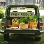 Herb Gardening 101: Grow Fresh Flavors Year-Round
