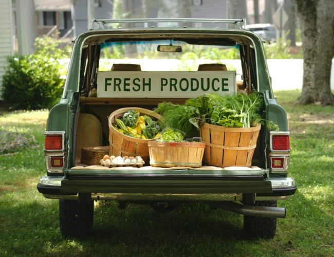 Herb Gardening 101: Grow Fresh Flavors Year-Round