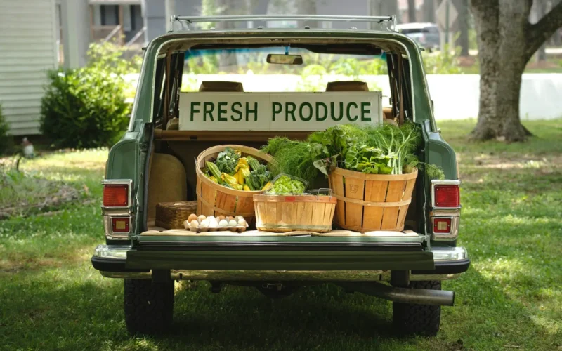 Grow Fresh Flavors Year-Round