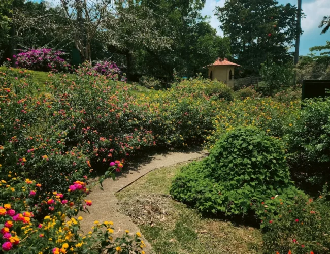 Small Garden Design Ideas for Urban Spaces