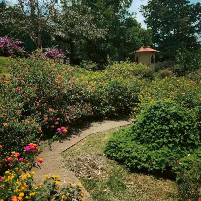 Small Garden Design Ideas for Urban Spaces